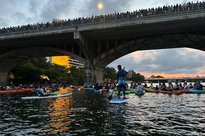 Congress Avenue Bat Bridge Paddleboard Tour - Why This Tour Is Worth Considering