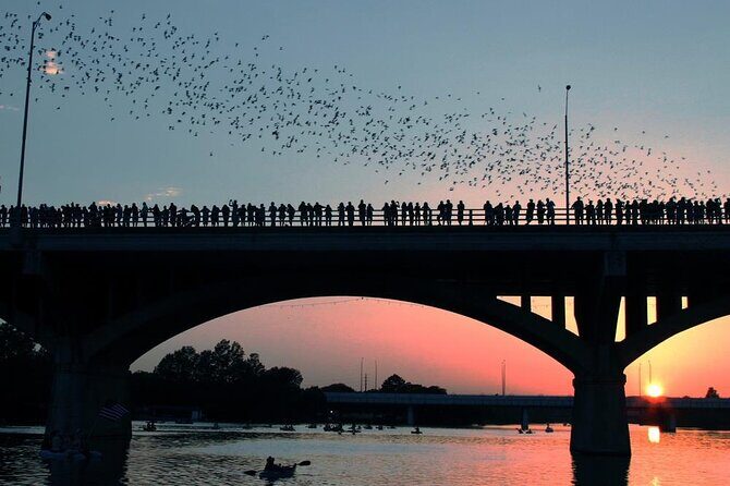 Congress Bridge Kayaking Bat Tour - FAQs