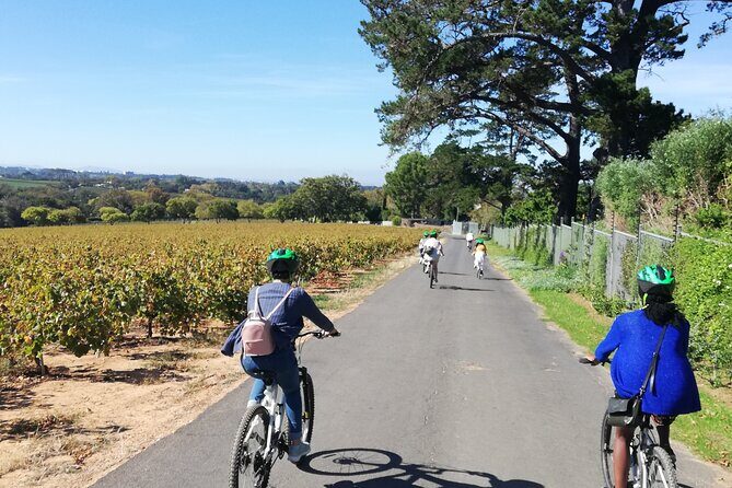 Constantia Hidden Gem Cycle Full Day - Private Tour - What Makes This Tour Special?