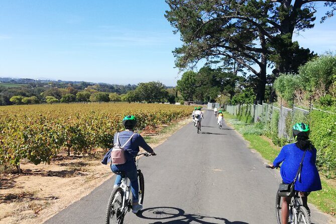 Constantia Hidden Gem Cycle Half Day - Private Tour - A Well-Balanced Blend of History, Nature, and Taste