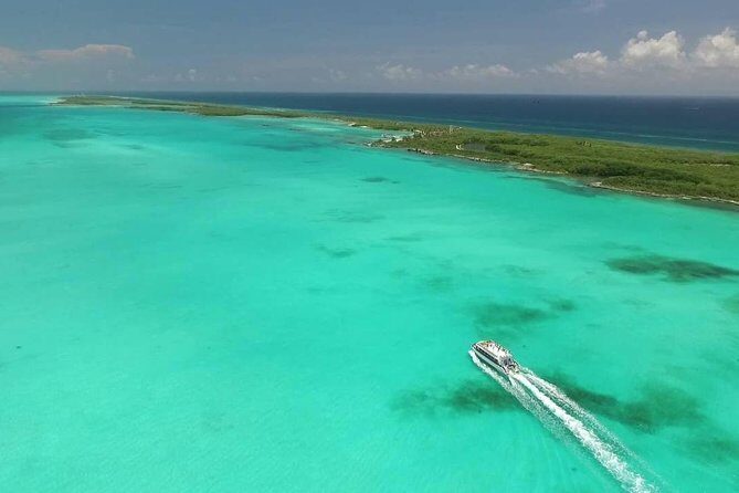 Contoy Caribbean Adventure! Round Transportation from Cancun - The Experience: From Board to Beach