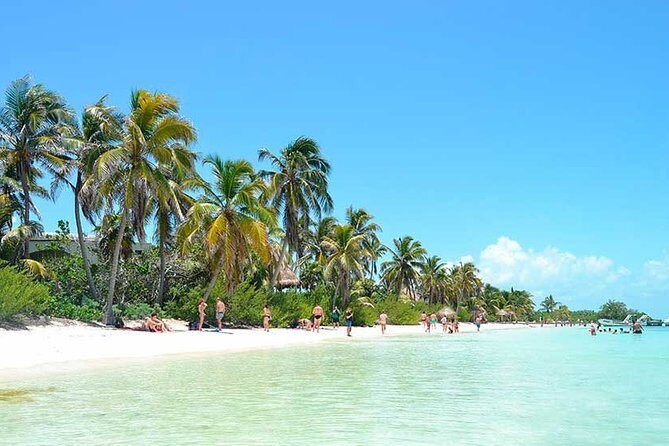 Contoy Island Tour from Playa del Carmen & Cancun - The Itinerary in Detail