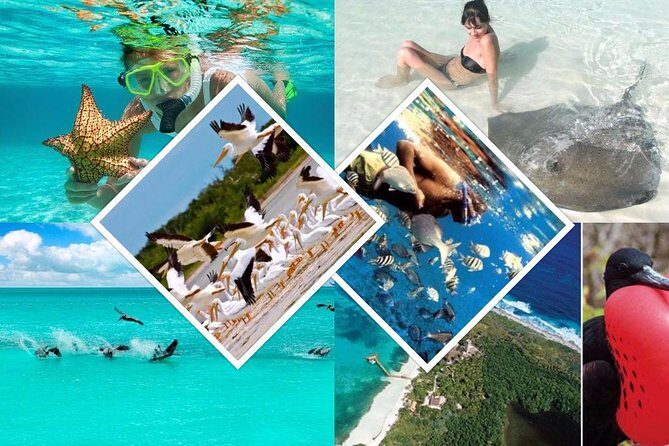Contoy Island - Who This Tour Is Best For