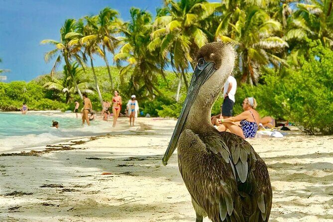 Contoy Reef & Isla Mujeres Tour! From Cancun & Playa del Carmen - Authentic Traveler Insights