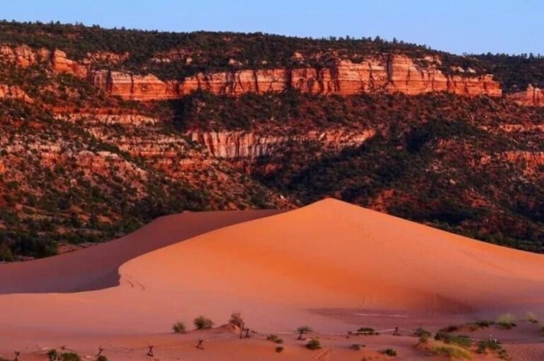 Coral Pink Sand Dunes: UTV Sunset Ride - Who Will Love This Tour?