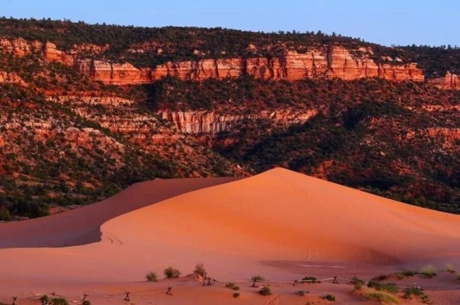 Coral Pink Sand Dunes: UTV Sunset Ride