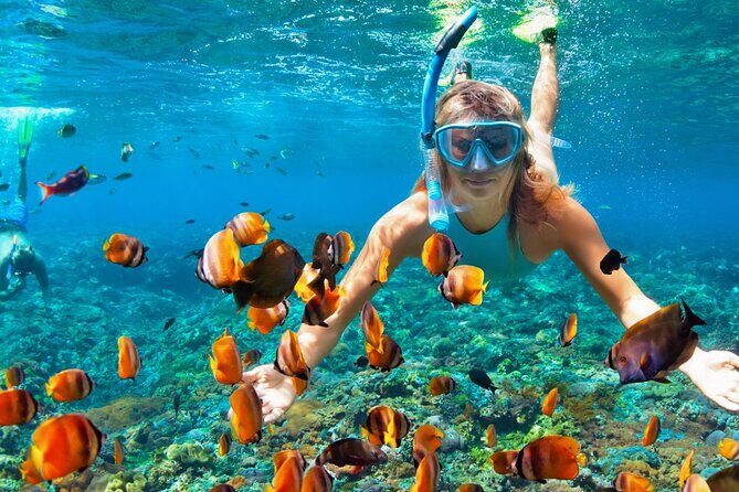 Coral Reef Snorkeling Expedition from Cancun with Beachside Lunch - Why This Tour Offers Good Value