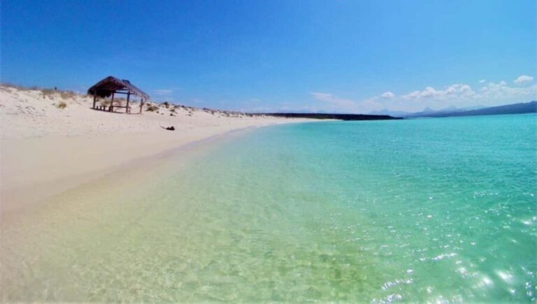 Coronado Island and Snorkel Tour - Who Will Love This Tour?