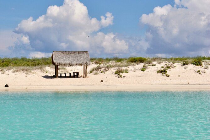 Coronado Island and Snorkel Tour - Authentic Experiences and Real Traveler Perspectives