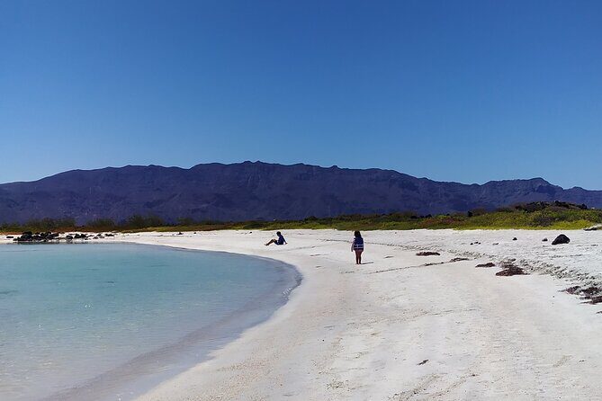 Coronados Island Tour in Loreto Bay - What We Appreciate and What to Consider