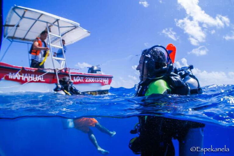 Costa Maya: Discover Scuba Diving Reef Experience - Exploring the Itinerary