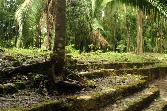 Costa Maya Shore Excursion: Chacchoben Day Trip - Who Would Enjoy This Tour?