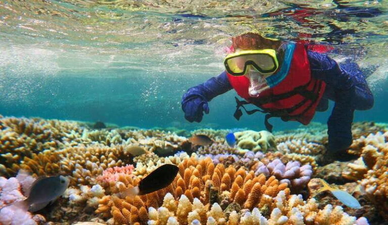Costa Maya: Snorkeling Adventure by Boat with Photos - The Itinerary Breakdown