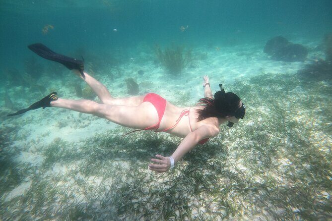 Costa Maya, snorkeling on the reef with fish, looking for turtles - Detailed Itinerary Breakdown