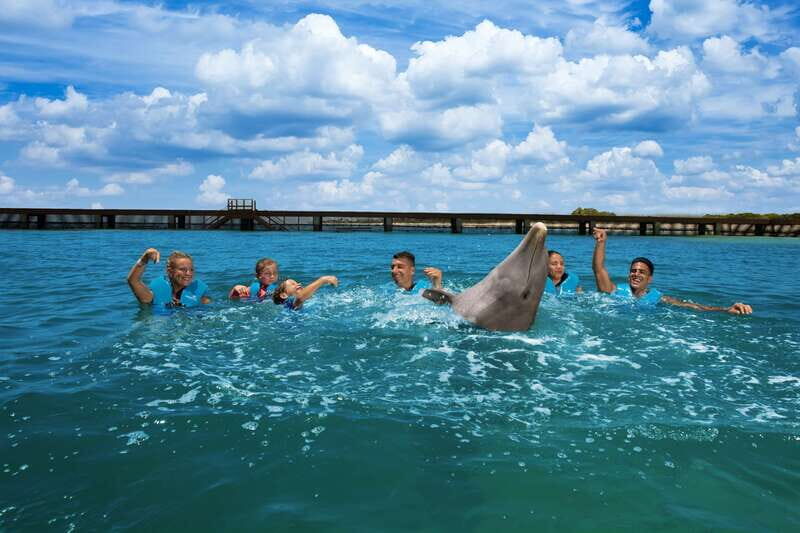 Costa Mujeres: Swim with Dolphins - Why This Tour Works for Different Travelers