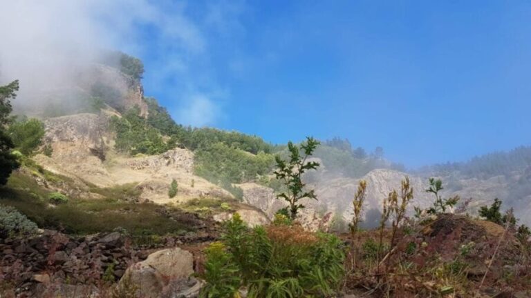 CovaPaúl Valley Trek: Santo Antão Day Trip by Ferry - The Practical Side: What’s Included and What to Consider