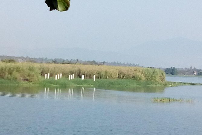 Coyuca Lagoon Adventure - Discovering Coyuca Lagoon: A Balance of Nature and Comfort