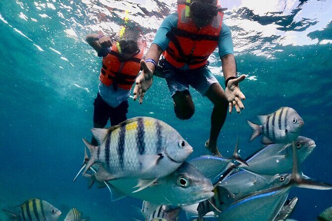 Cozumel Adventure! 2 hours Snorkel + Round Transportation from Cancun - Who Should Book This Tour?