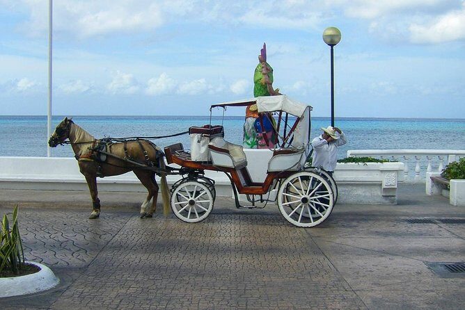 Cozumel Adventure - Who Will Love This Tour?
