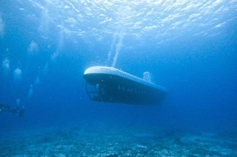 Cozumel: Atlantis Submarine Adventure - The Sum Up