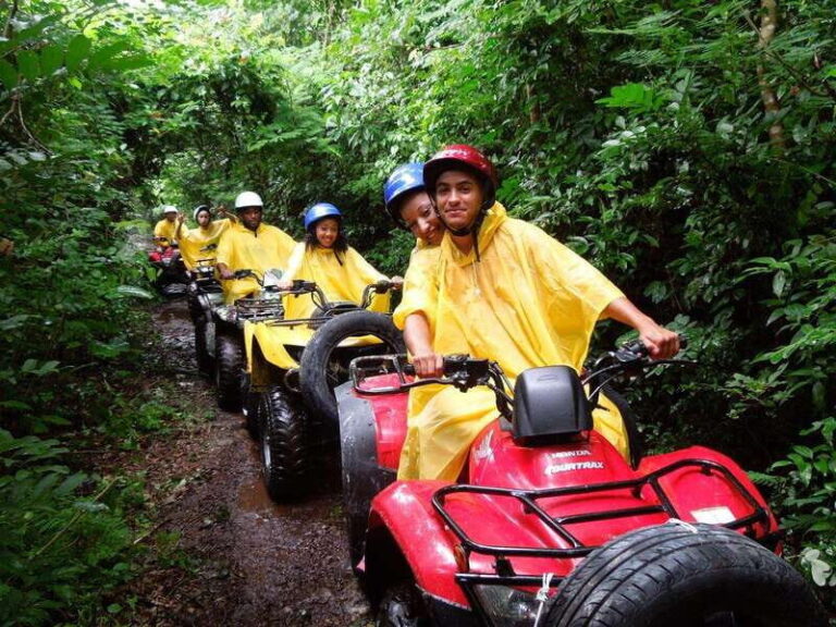 Cozumel: ATV Jungle Adventure - What Makes This Tour Special?