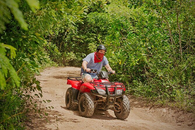 Cozumel ATV Jungle Small Group Guided Ride - What the Reviews Say