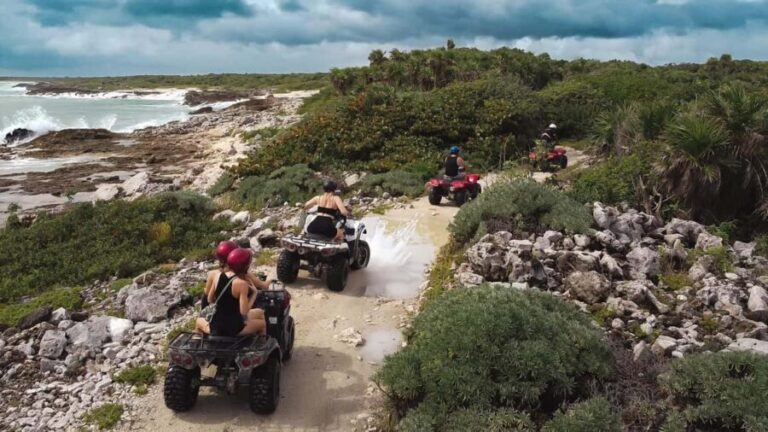 Cozumel: ATV Seashore Adventure & Mayan Cenote Experience - The Verdict: Who Is It Best For?
