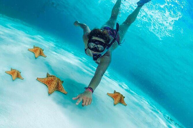 Cozumel by transparent boat and snorkeling in the sky with lunch. - Authentic Experiences That Set This Tour Apart