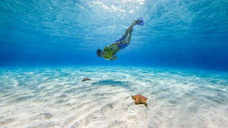 Cozumel: Catamaran, El Cielo Bay & Palancar Reef with Lunch - Real Traveler Perspectives