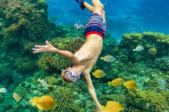 Cozumel Catamaran Experience with Snorkeling & Beach Club - Snorkeling at Palancar Reef