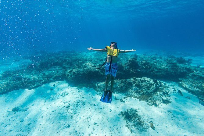 Cozumel Catamaran Snorkeling Tour & lunch® - What Makes It a Great Value