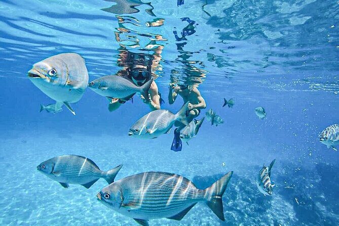 Cozumel Clear Boat Tour! Round Transportation From Cancun & Playa Del Carmen - A Detailed Look at the Cozumel Clear Boat Tour