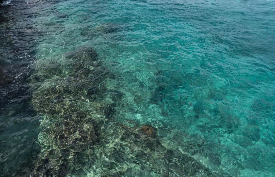 Cozumel: Day at El Cielo Bay - Snorkeling at Palancar Reef