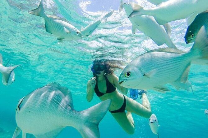 Cozumel: Day in Punta Sur Eco Park and Del Cielo Beach with Snorkeling - Practical Details: What to Expect