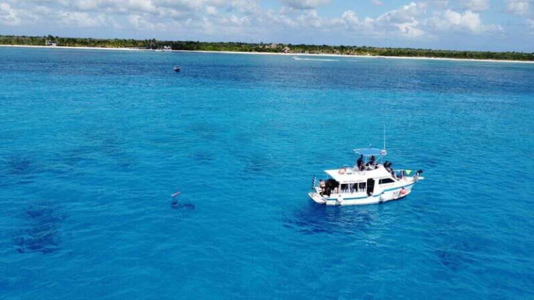 Cozumel: Discover Scuba Diving - Why Choose This Cozumel Discover Scuba Tour?