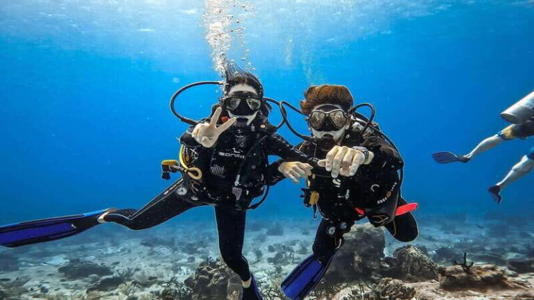 Cozumel: Discover Scuba Diving for Non-Certified Divers - The Practical Side: Logistics and Value