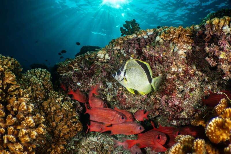Cozumel Discover Scuba Diving from boat - The Itinerary: What to Expect