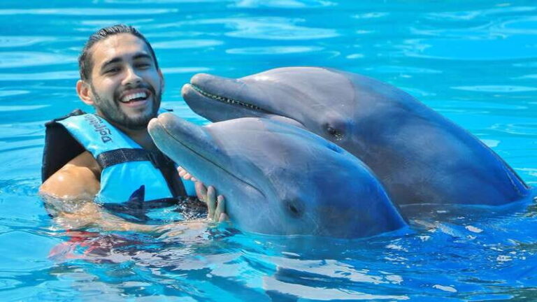 Cozumel: Dolphin Royal Swim and Manatee Interaction - Practical Details and What to Expect