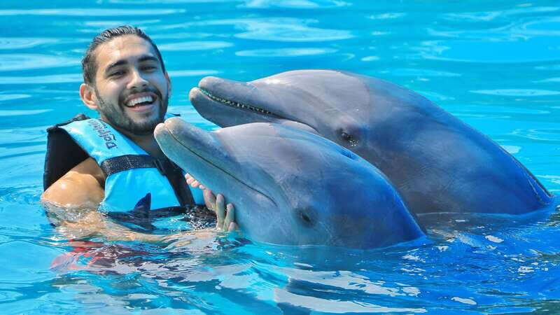 Cozumel: Dolphin Royal Swim and Manatee Interaction - Practical Details and What to Expect