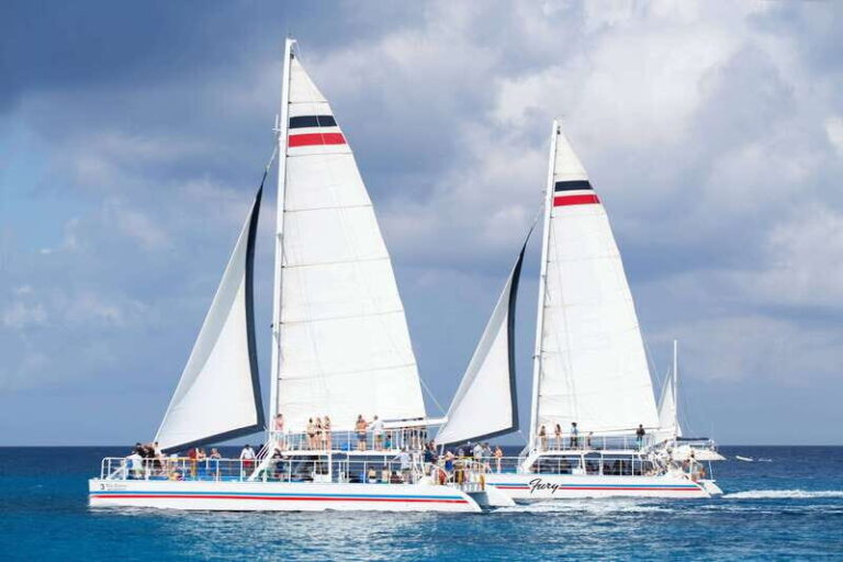 Cozumel: El Cielo, Palancar Reef, and Beach Party with Food - Who Should Consider This Tour?