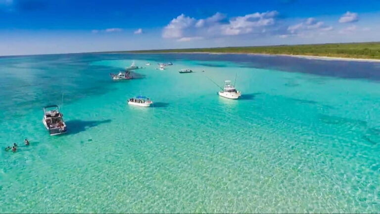 Cozumel: El Cielo & Palancar Snorkel with Open Bar & Ceviche - Who Will Love This Tour?