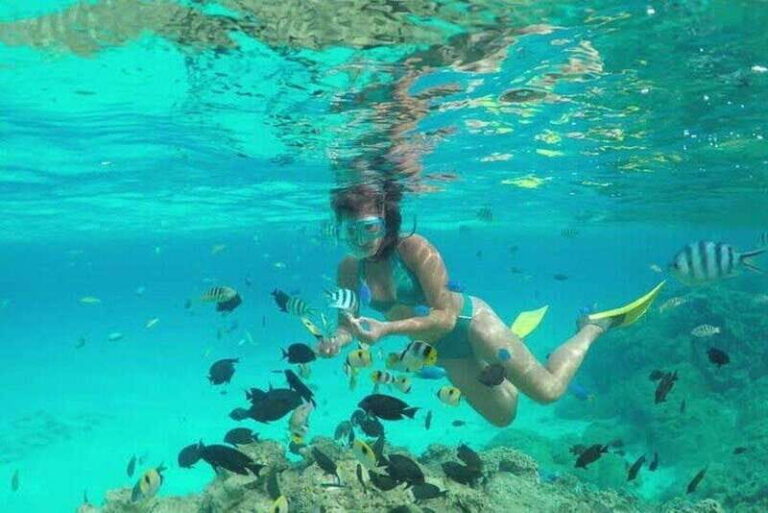 Cozumel El Cielo Sandbar and Reef Snorkeling Tour - The Value of the Experience