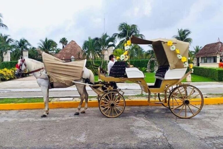 Cozumel: Electric Carriage Tour - Exploring the Itinerary: What You Can Expect
