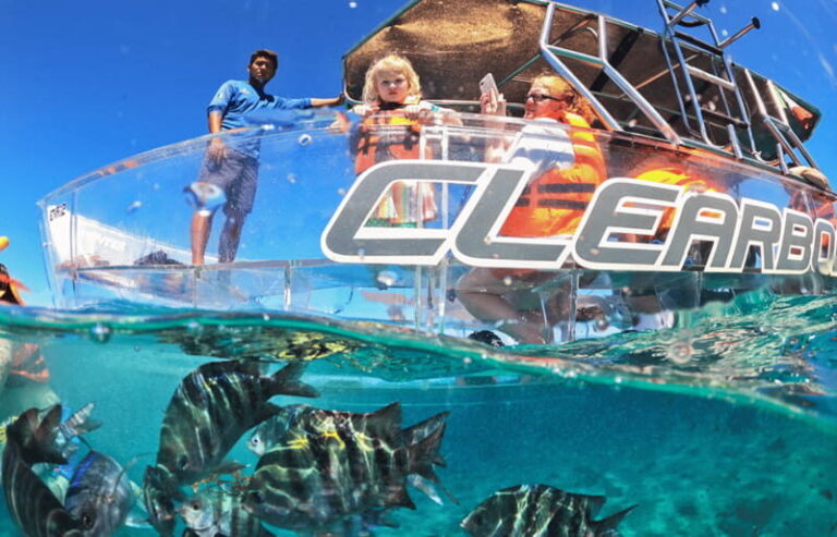 Cozumel: Excursion Crystal Boat Tour with Snorkel & Drinks - What Makes This Tour Stand Out?