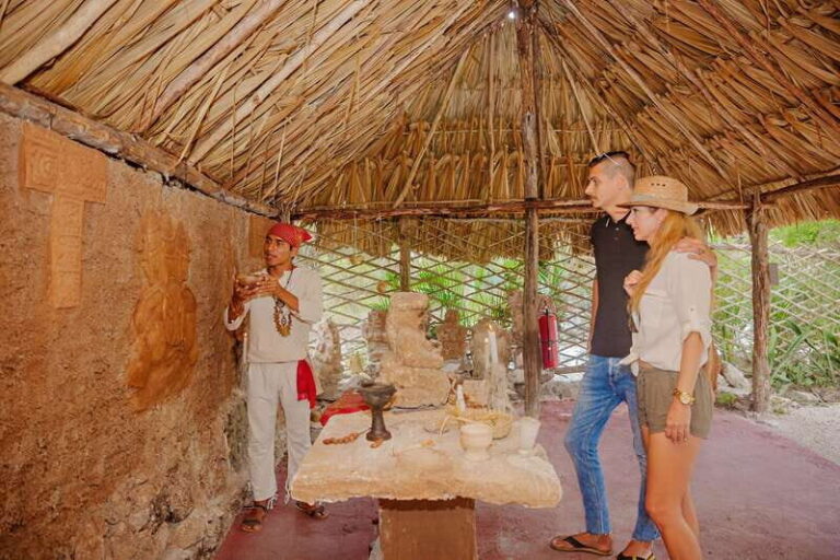 Cozumel: General Entrance to Mayan Bee Sanctuary - Practical Details and Logistics