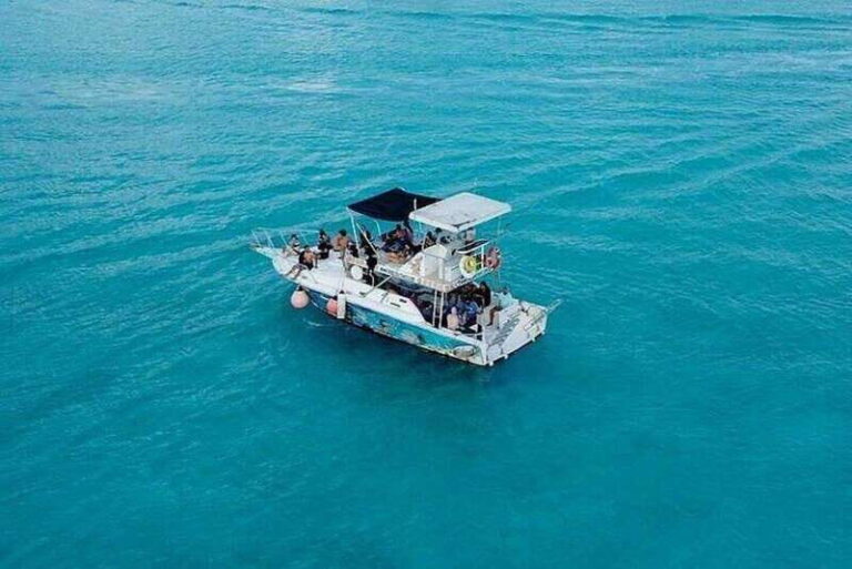 Cozumel: Glass-bottom Boat Snorkeling Adventure - The Experience: What You Can Expect