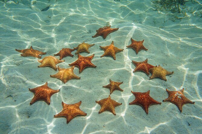 Cozumel Luxury Sailing and Snorkeling Experience - Who Will Love This Tour?