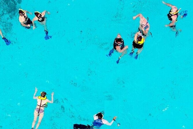 Cozumel: Mayan Jeep Tour Private Lunch Snorkeling Tour - What the Reviews Say (and What to Expect)
