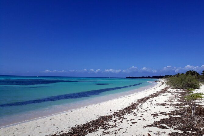 Cozumel National Park and Beach Break: Private Tour - Who Is This Tour Best For?