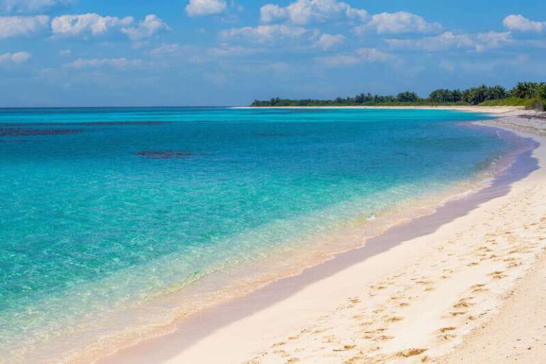 Cozumel: North Shore E-Bike Adventure & Beach Break - Practical Details and Value